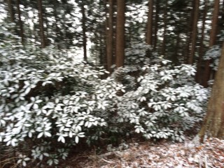 同日、ほぼ同山域の比叡山の様子、標高が1/3でも「吹雪」「積雪」が見られた。