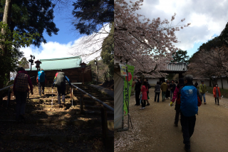 左は奥の院/右は地上の醍醐寺、下りでも歩いて40分強かかります。