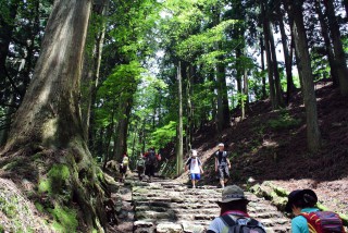 【経験】愛宕山境内は京都からバスで30分+2時間歩けば標高900mまでは到達できる。