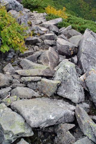 【どちらに行くか？】こういうガレ場は2股になっている場合も多い、片側が「道」でもう片側は「崩れた跡」かもしれない。崩れた跡の岩は「安定」していないので事故（落石）の元だ。
