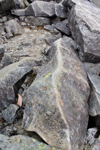 【踏み跡のある岩】岩の「頂点」の色が変わったところが『踏み跡』