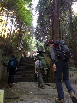 【狸谷神社】250段の階段がキツイ。