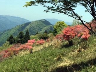 【葛城山】京都・奈良・大阪は歴史的な記録によく残っている。