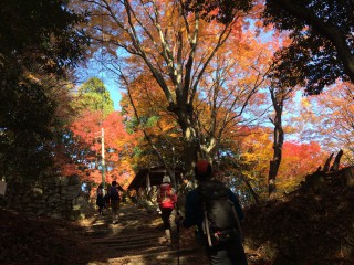 【11月末の休憩小屋】秋には紅葉で彩られるこの小屋くらいまでがキツイ