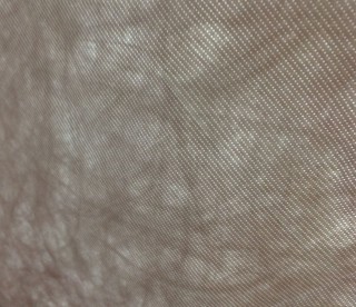 【ランダムに積層された繊維】日に透かすと、まさに和紙のような模様が。