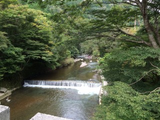 【とりあえず先月の清滝】清滝川はまあ穏やかな川です。この紅葉も紅葉している･･･はず?