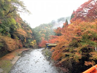 【高雄 神護寺前】紅葉と秋時雨