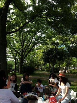 【一番近所の森】大阪城公園、花見エリアももう新緑で一杯。
