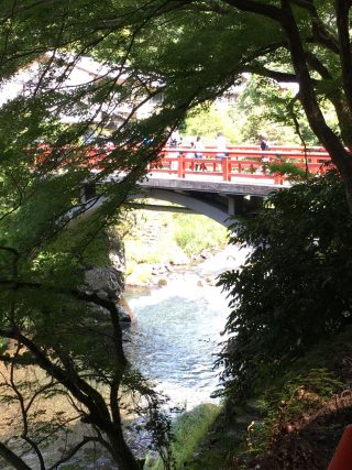 【清滝川】夏の風景