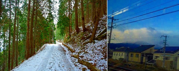 13日、延暦寺の領域内の林道、後日撮影の比叡山の遠景今は雪が積もっているのが見える。