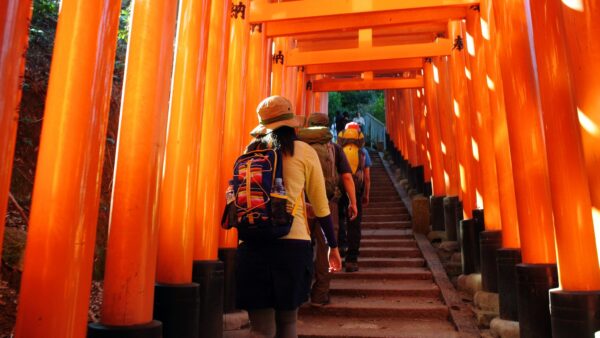 【速報】今日は外国人ツーリスト人気『日本一』の伏見稲荷から京都一周トレイル