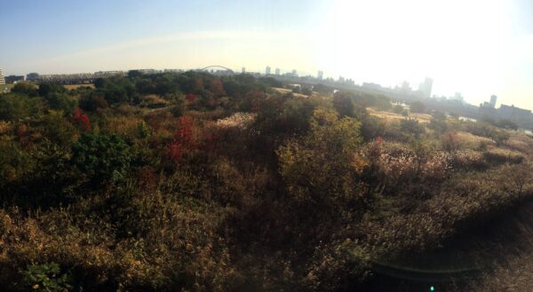 雑記「淀川の秋」身近な場所にある結構偉大な風景