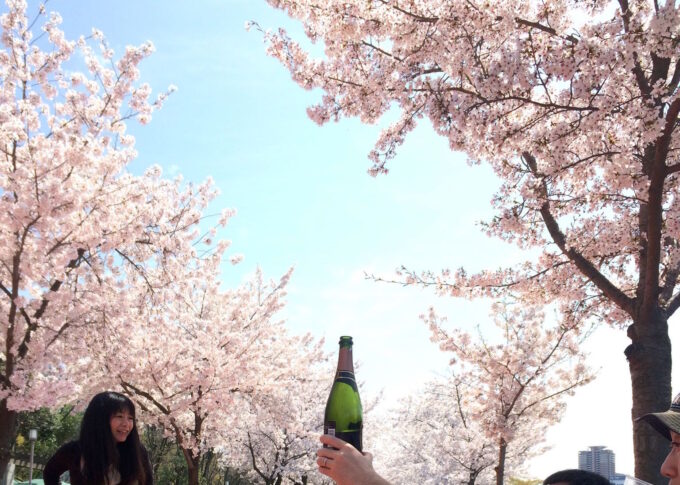 【花はサクラ】酒はシャンパン？
