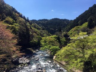 愛宕山「最良の春日は上高地のような美しい一日」…でしたが参道にはかなりのダメージ。