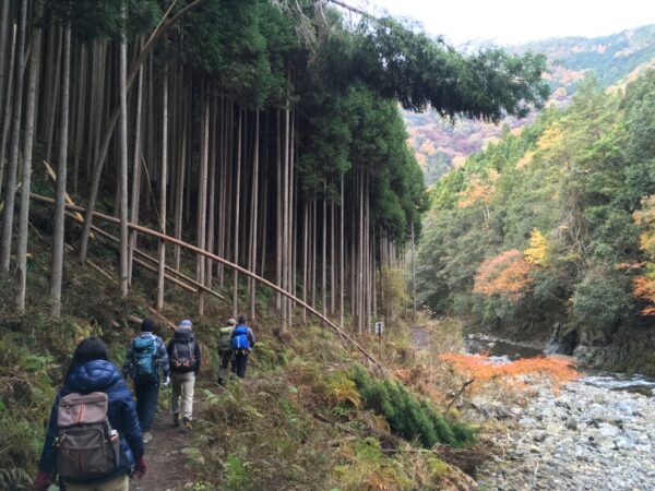 【高雄→清滝→保津峡】3名所をチェーンする秋の渓谷散歩