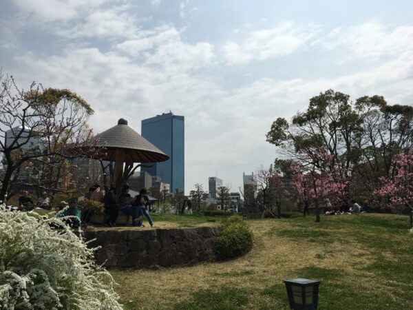 Re:Open Osaka Japan「令和五年も花見で一杯」桜の開花と定番の大阪城と藤田邸跡公園花見事情
